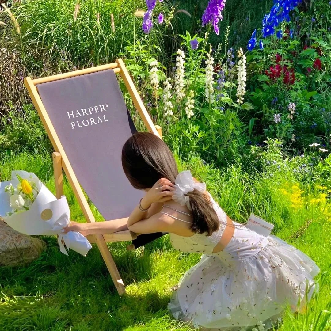 养个纨绔爹当皇帝